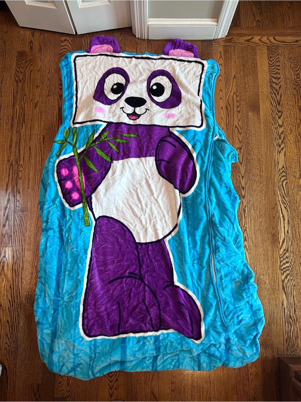 Zippy Sack-Never Used